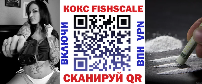 Кокаин Fish Scale  Купить закладки  Кемь 