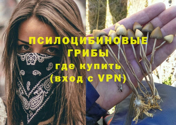 кокаин премиум Гусев