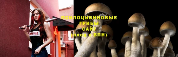 герыч Гусь-Хрустальный