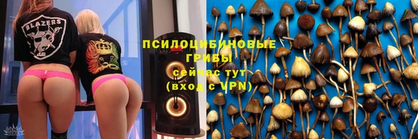 герыч Гусь-Хрустальный