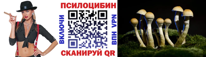 Купить закладки  Кемь  Псилоцибиновые грибы мухоморы 